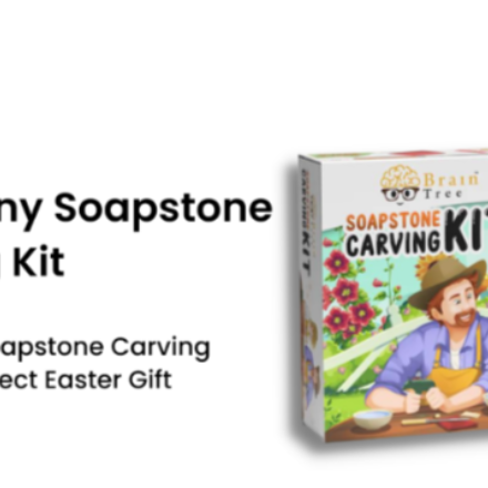 DIY bunny soapstone carving Kit