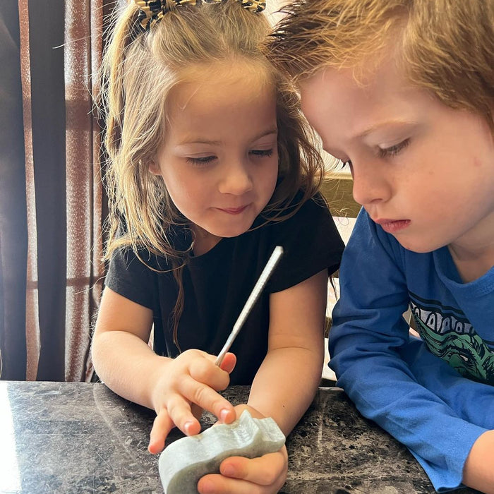 Rosie's Soapstone Carving Adventure: A Parent's Perspective