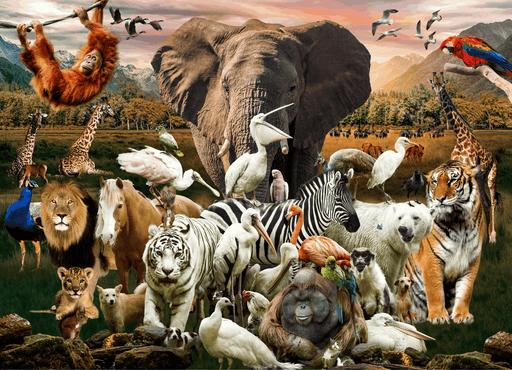 Animal Jigsaw Puzzles 500 Piece Brain Tree Games