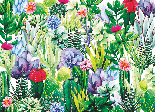 Cactus Jigsaw Puzzles 1000 Piece Brain Tree Games