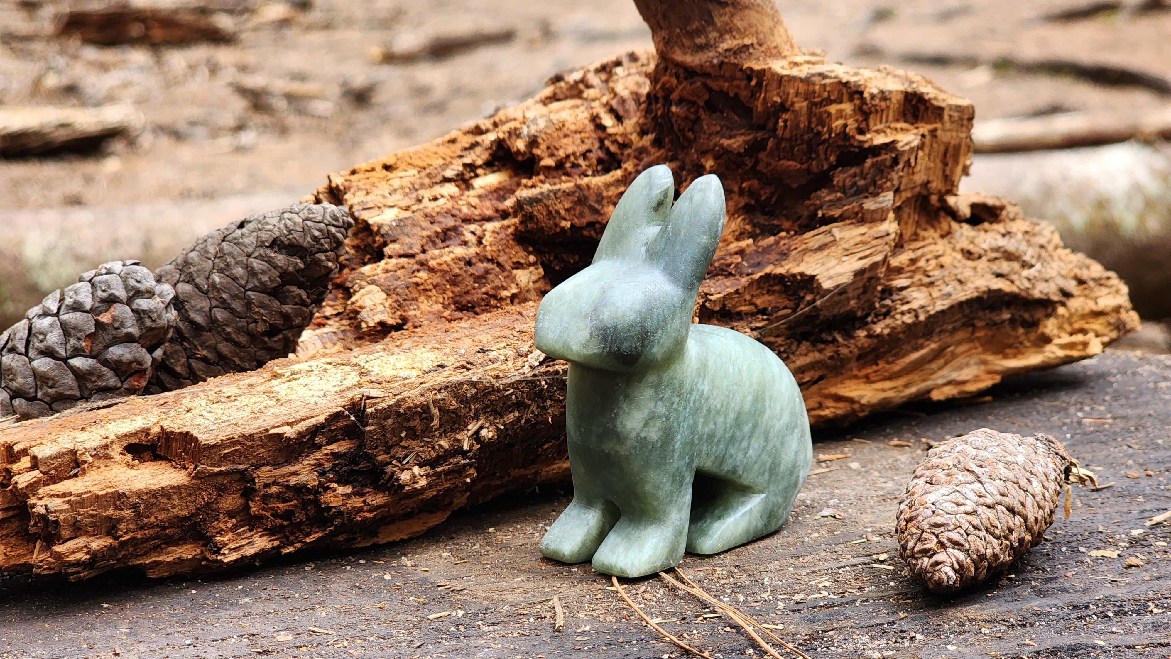 Unleash Your Creativity with Our Bunny Soapstone Carving Kit - Safe for ...